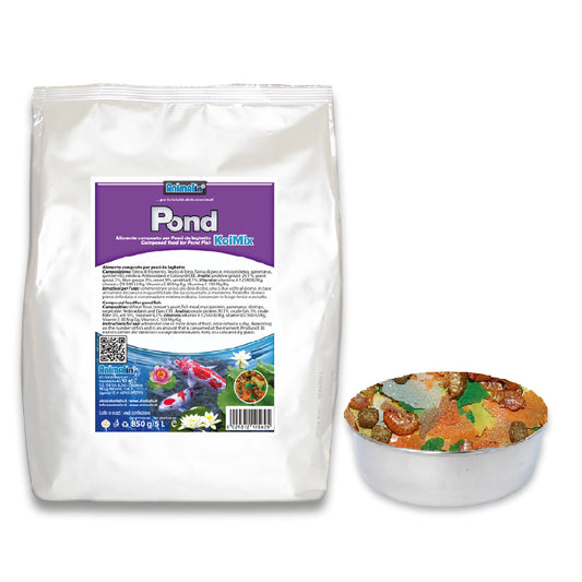 POND KOI MIX