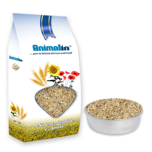 MIX SEMI CONDIZIONATI o SEMI DELLA SALUTE