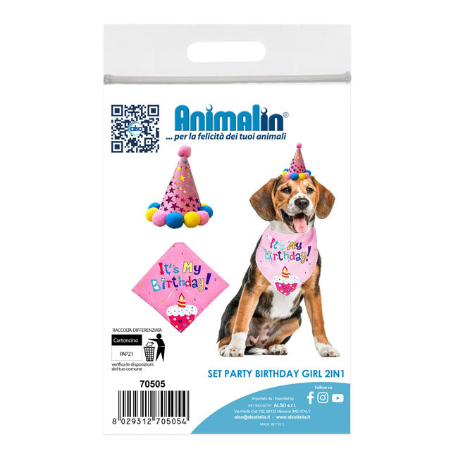SET PARTY BIRTHDAY GIRL 2in1