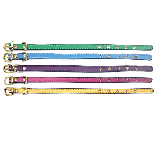 COLLARE CUCCIOLO MIX COLOR