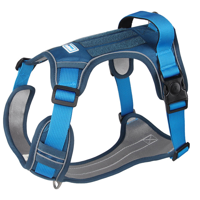 PETTORINA ERGOCOMFORT AZZURRO