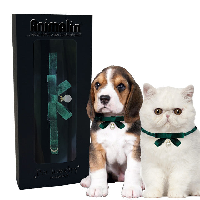 COLLARE GIOIELLO VELLUTO VERDE