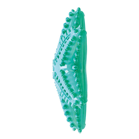 GIOCO TPR IGIENE DENTALE STELLA C/SUONO COLOR MIX