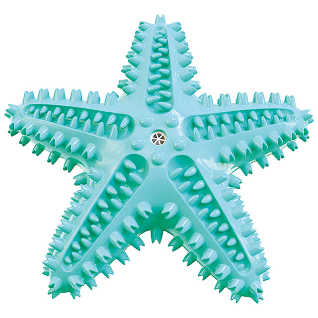 GIOCO TPR IGIENE DENTALE STELLA C/SUONO COLOR MIX