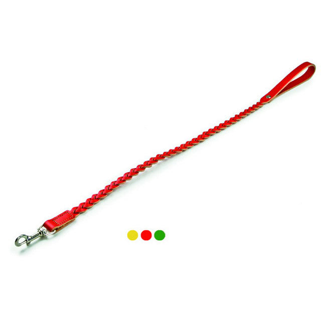 GUINZAGLIO IN CUOIO COLORATO INTRECCIATO