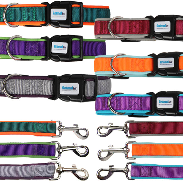 Parure Collare e Guinzaglio in Neoprene per Cani Mix Color