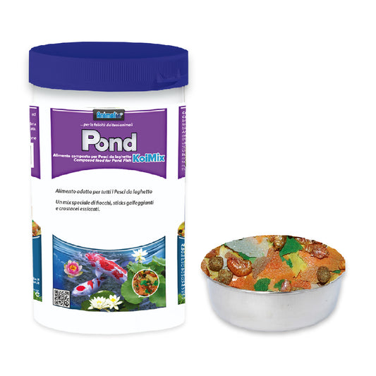 POND KOI MIX
