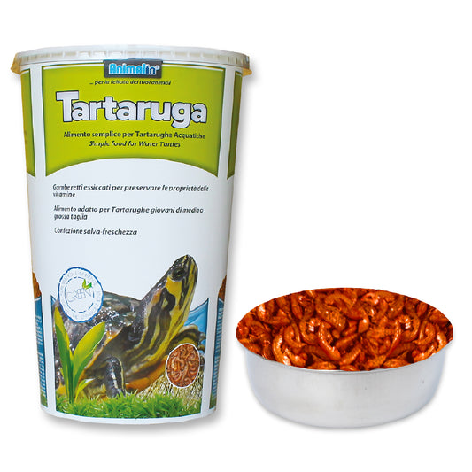 TARTARUGA ECO GAMBERETTI
