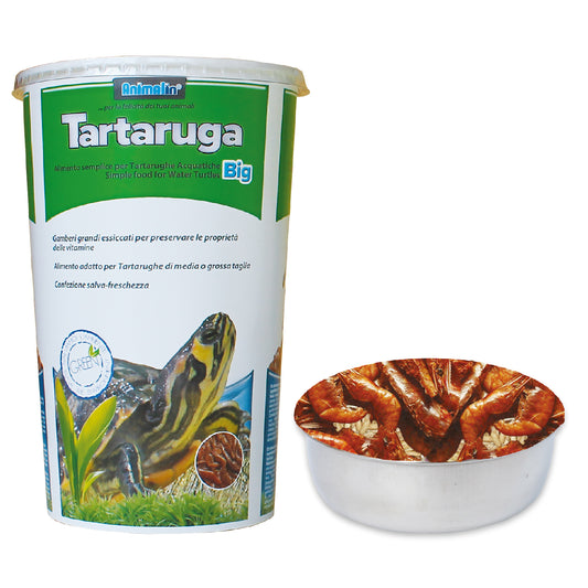 TARTARUGA ECO SHRIMPS BIG