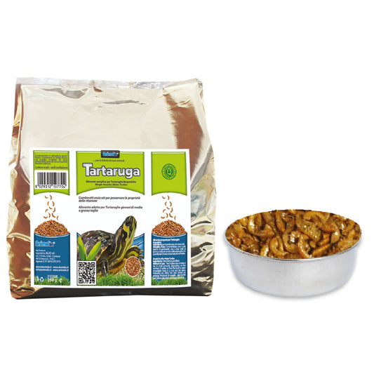 TARTARUGA GAMBERETTI