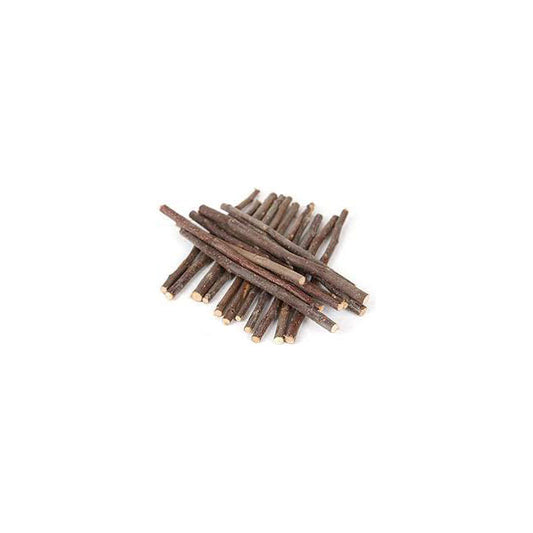 LEGNETTI RAMETTI DA MASTICARE ALBERO DI KIWI 10 PZ