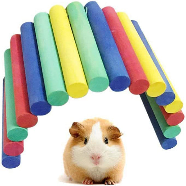 Riparo in legno multicolor per rettili e piccoli animali, dimensioni 18 x 10 cm