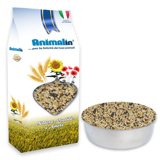 MIX CANARINI