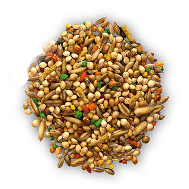 Mix Cocorite Plus per uccelli, alimento completo con cereali e semi condizionati, 1 kg