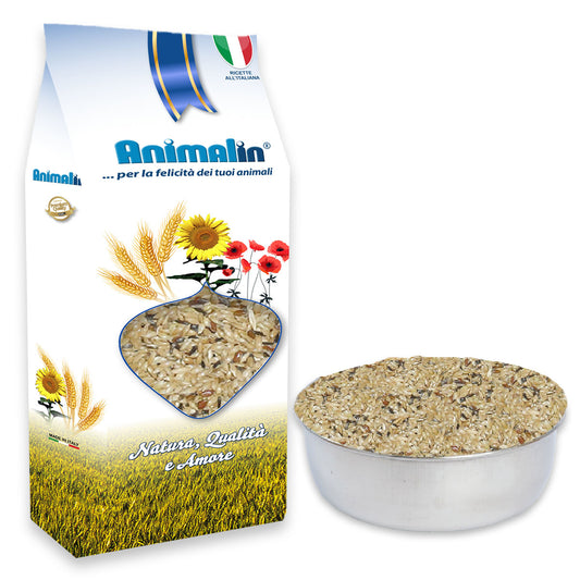 MIX CANARINI  4 SEMI