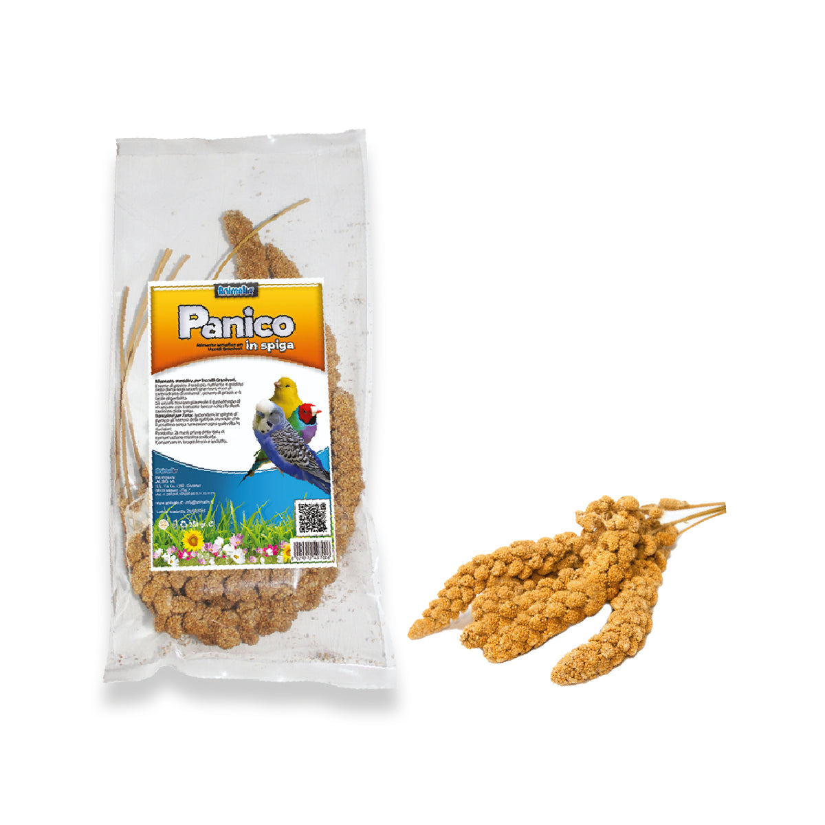 SEME DI PANICO IN SPIGA