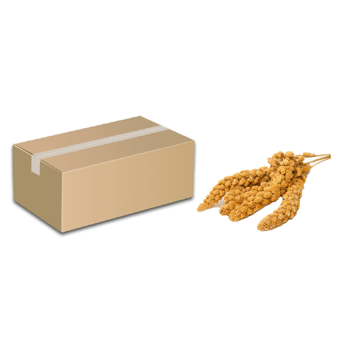 SEME DI PANICO IN SPIGA