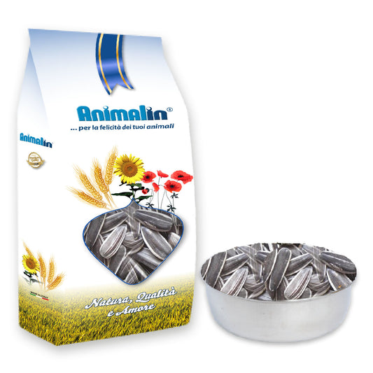 SEME DI GIRASOLE GROSSO