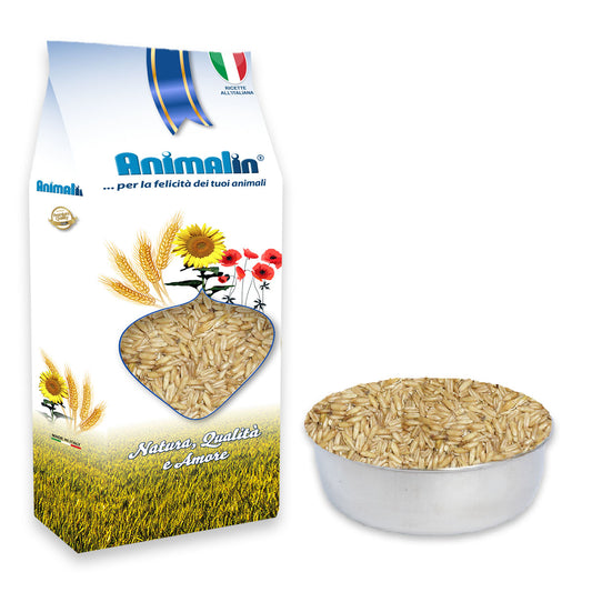 SEME DI AVENA DECORTICATA