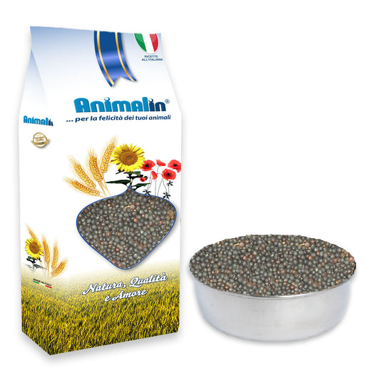 SEME DI RAVIZZONE