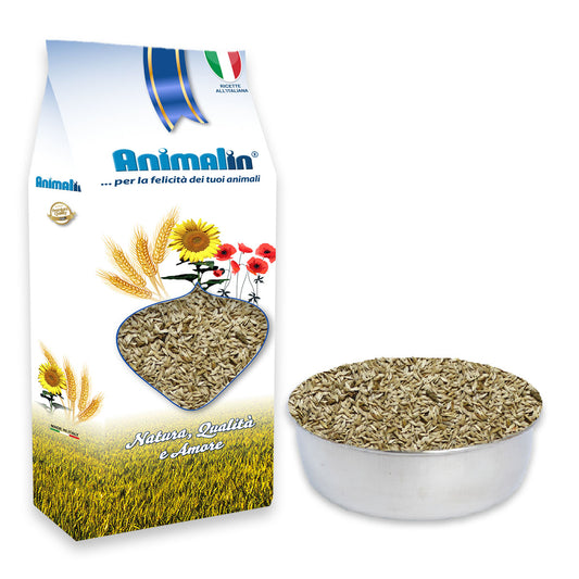 SEME DI LATTUGA BIANCA