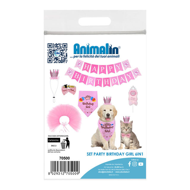 SET PARTY BIRTHDAY GIRL