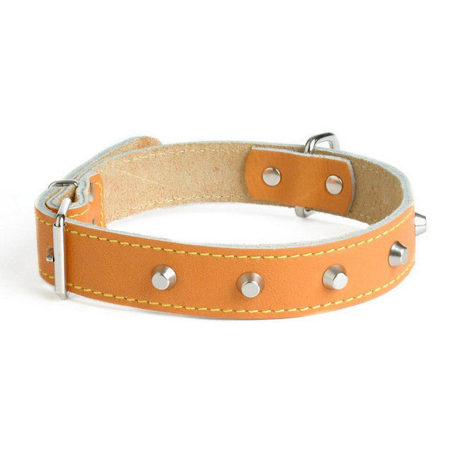Collare in Cuoio di Bufalo Borchiato per Cani