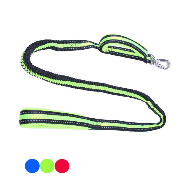 GUINZAGLIO TECNICO + NYLON