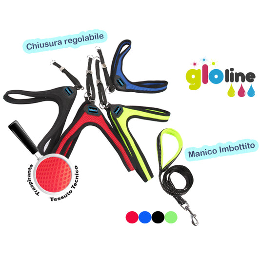 PARURE PETTORINA TECNICA REGOLABILE + GUINZAGLIO 1.0cm*20cm