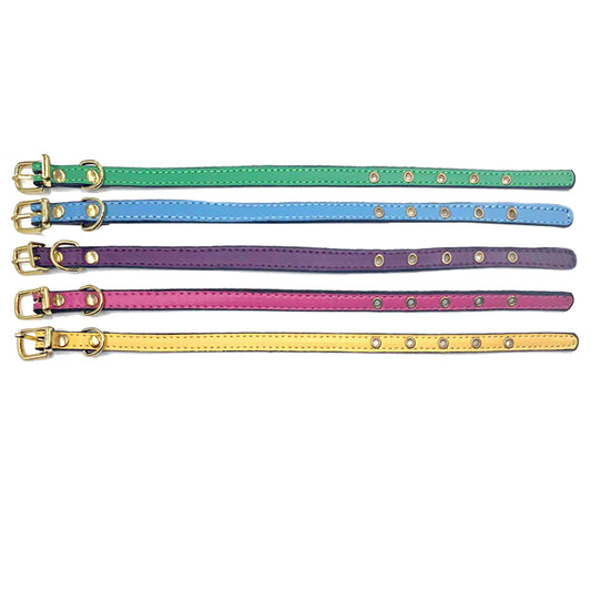 COLLARE CUCCIOLO MIX COLOR