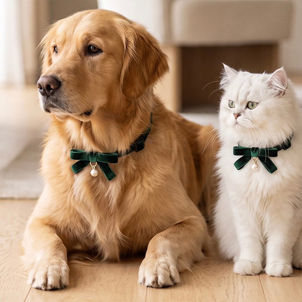 Collare gioiello in velluto verde per cani con ciondolo perla e cofanetto regalo Animalin
