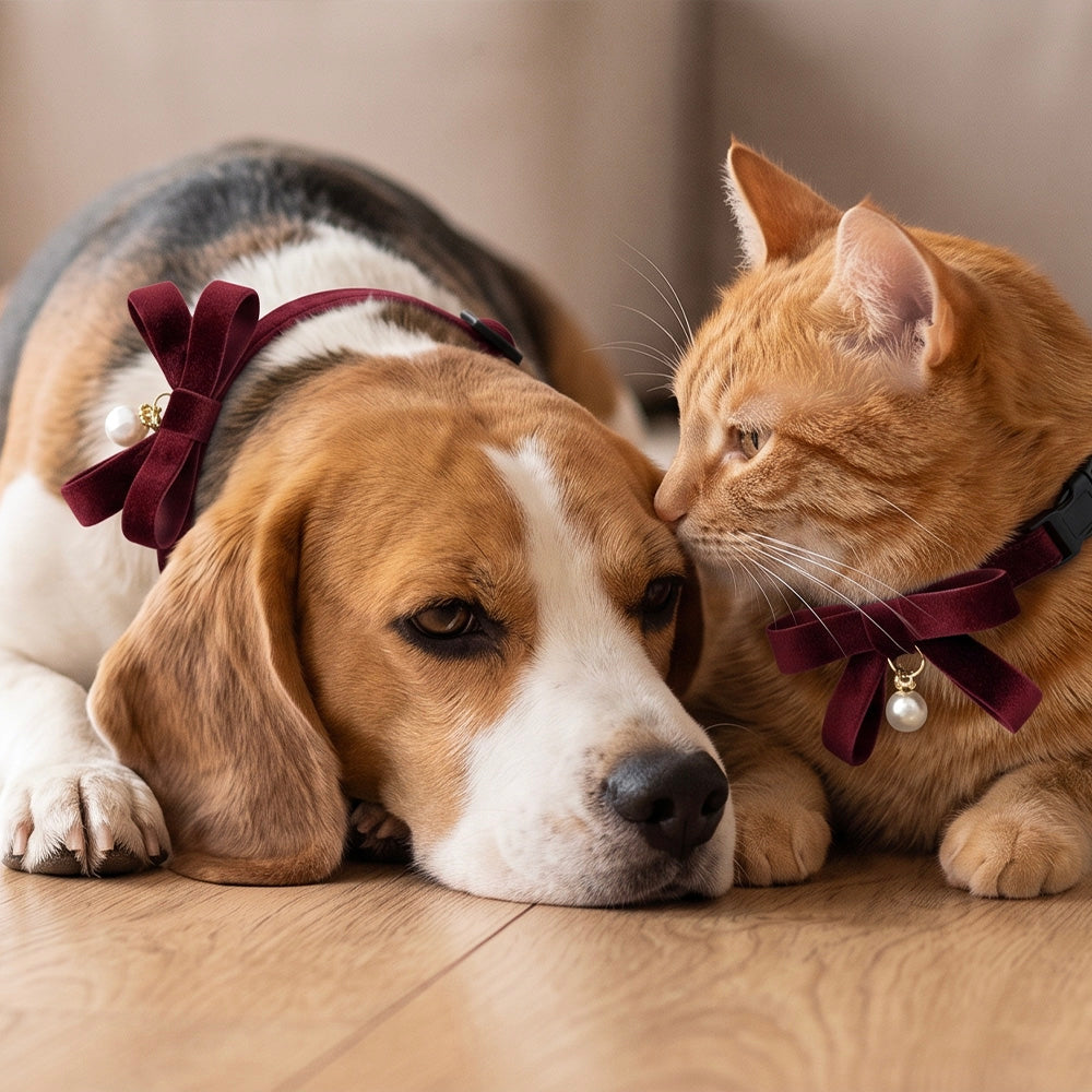 Collare gioiello in velluto bordeaux per cani con ciondolo a perla e cofanetto regalo