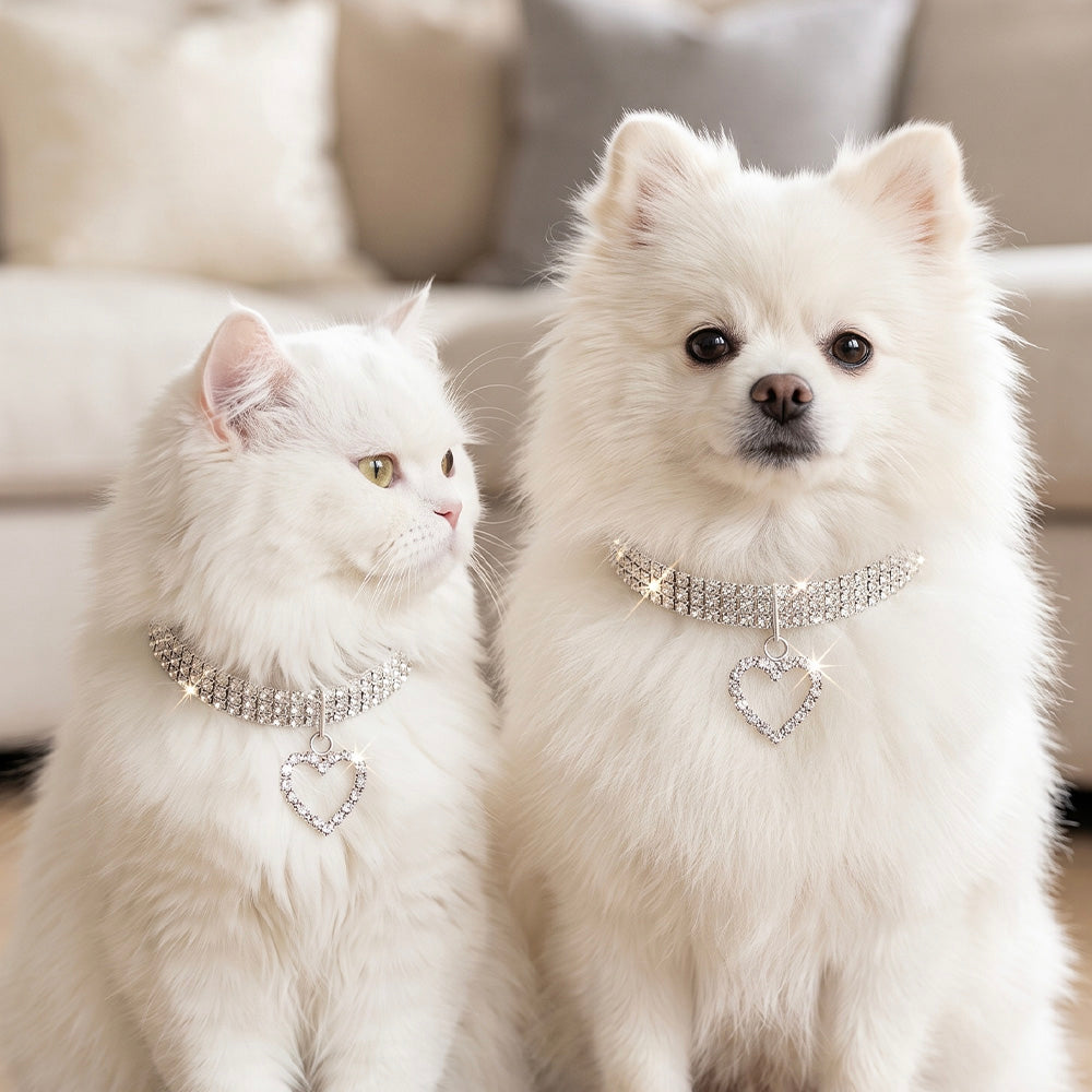 Collare gioiello strass cuore argento per cani, con decorazioni scintillanti e catena di estensione regolabile