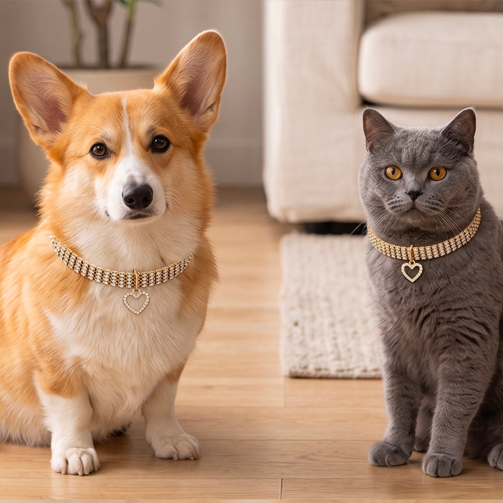 Collare gioiello strass cuore oro per cani con ciondolo decorativo e catena estensibile