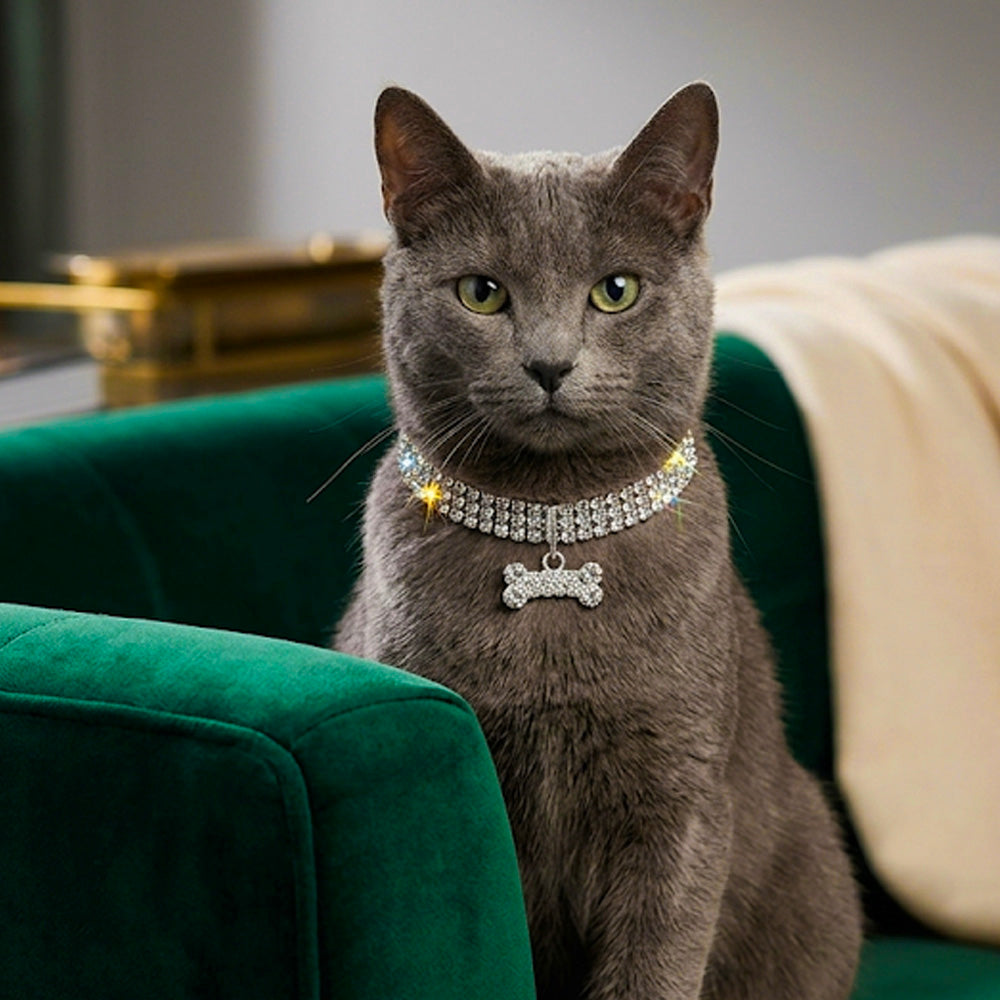 Collare gioiello strass per cani con ciondolo osso argento, completamente decorato con strass scintillanti