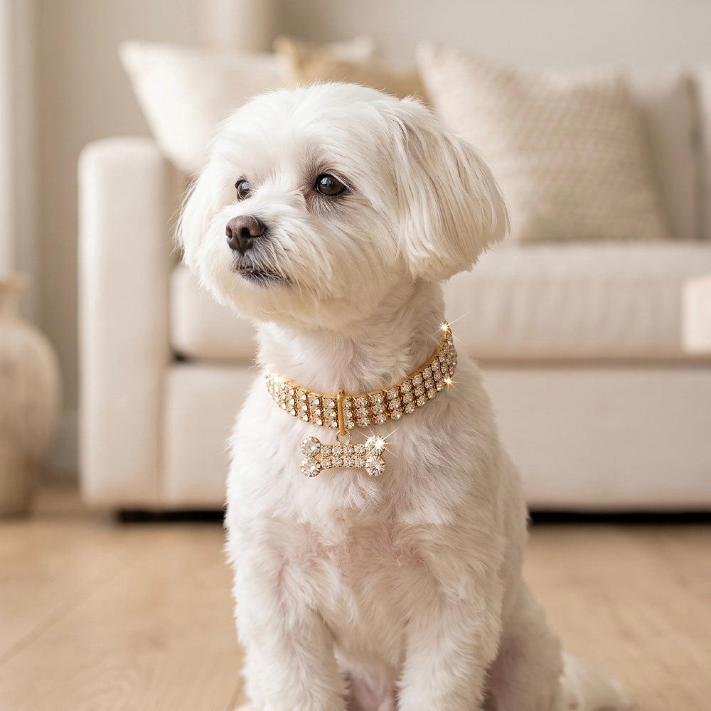 Collare gioiello strass osso oro per cani con ciondolo brillante e catena estensibile