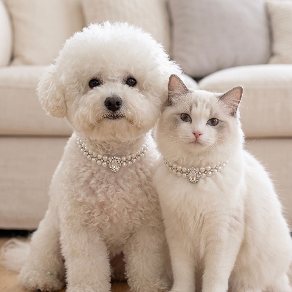 Collare gioiello perla per cani Animalin con perle e strass, regolabile con catena estensione