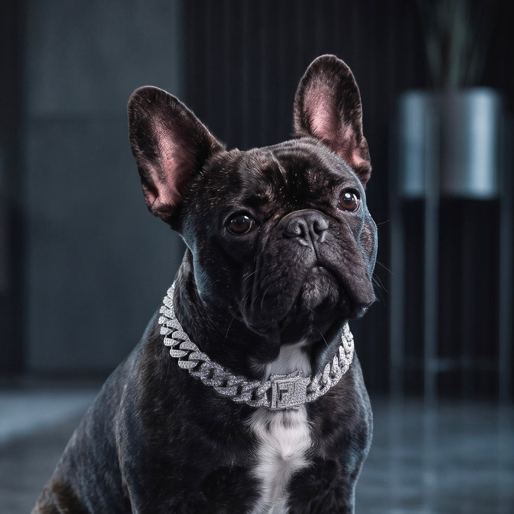 Collare gioiello catena diamante argento per cani con strass scintillanti e maglie rimovibili