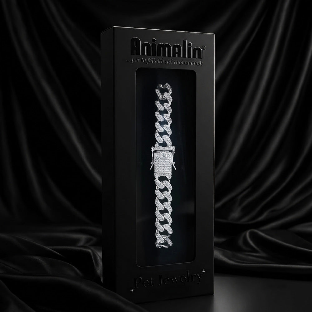Collare gioiello catena diamante argento per cani con strass scintillanti e maglie rimovibili