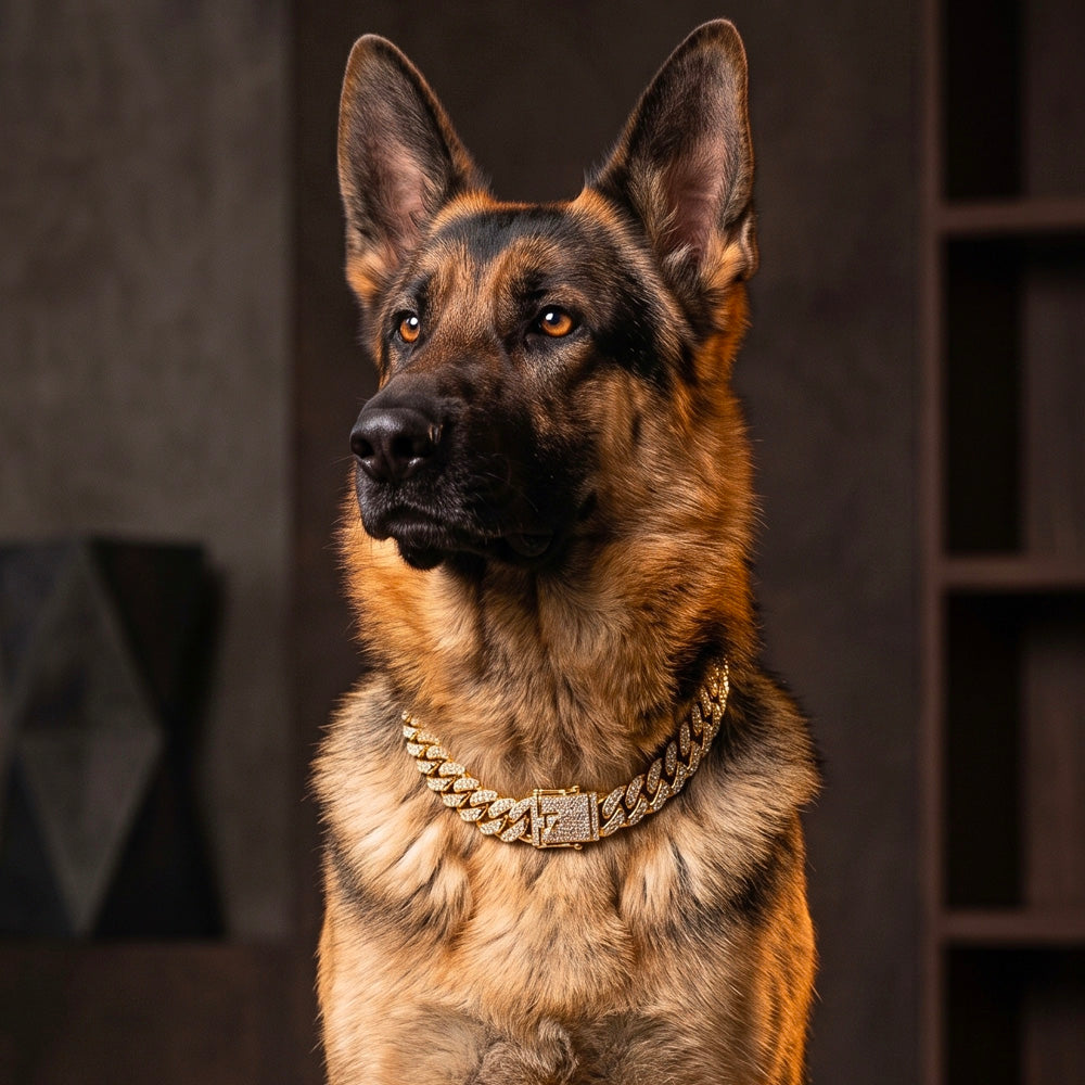 Collare gioiello catena diamante oro per cani con strass scintillanti e maglie rimovibili