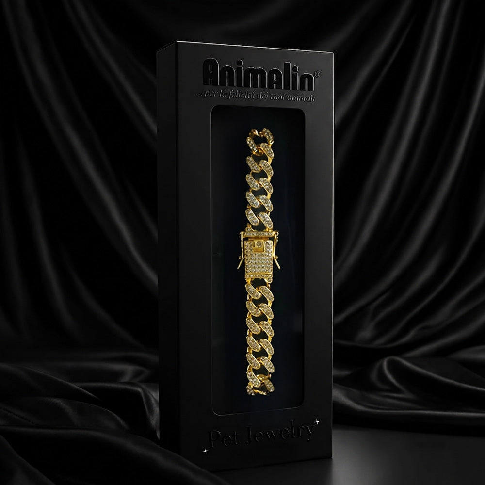 Collare gioiello catena diamante oro per cani con strass scintillanti e maglie rimovibili