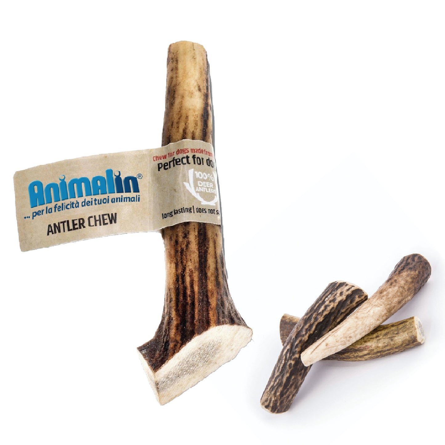 CORNA DI CERVO CHIUSA HARD