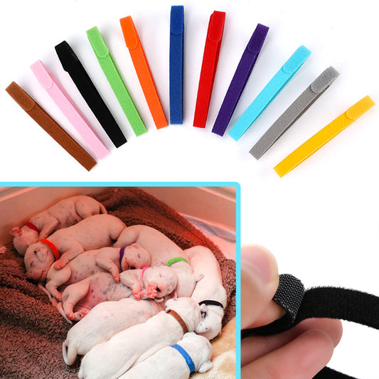 COLLARI INDEFICATIVI CUCCIOLATE VELCRO REGOLABILE