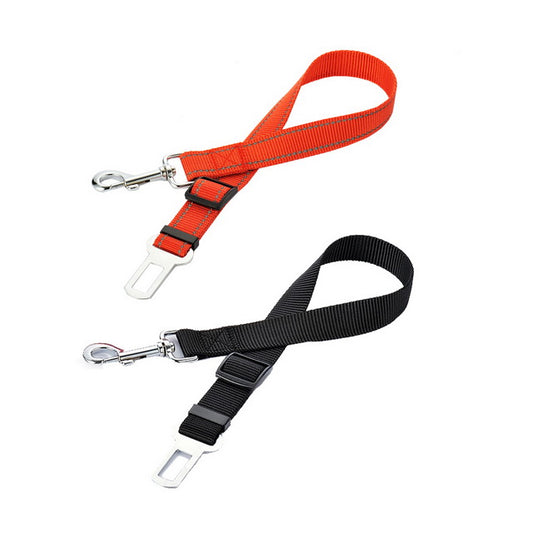 CINTURA DI SICUREZZA