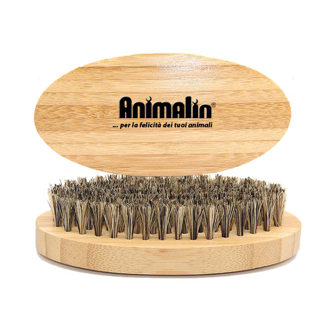 SPAZZOLA CON SETOLE IN OTTONE