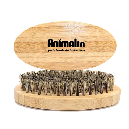 SPAZZOLA CON SETOLE IN OTTONE