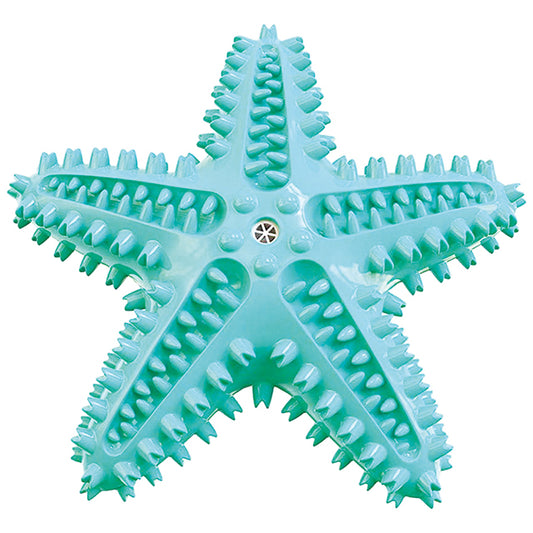 GIOCO TPR IGIENE DENTALE STELLA C/SUONO COLOR MIX