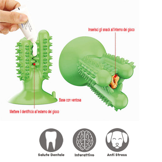 GIOCO TPR IGIENE DENTALE CACTUS + VENTOSA COL. MIX