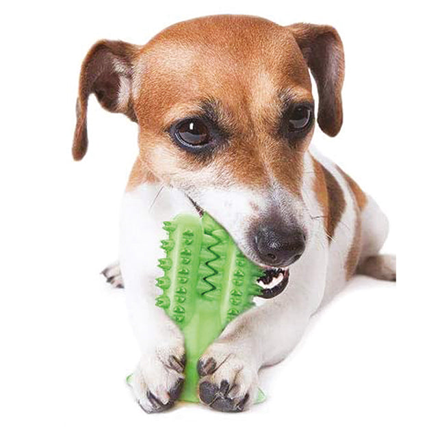 GIOCO TPR IGIENE DENTALE CACTUS + VENTOSA COL. MIX
