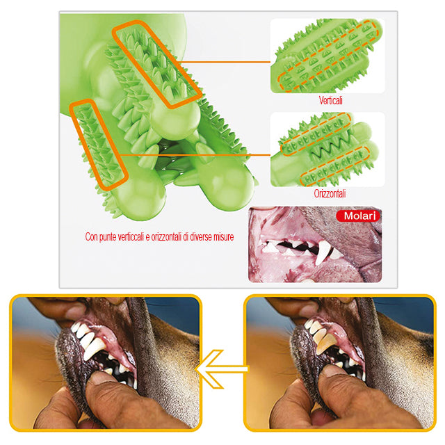 GIOCO TPR IGIENE DENTALE CACTUS + VENTOSA COL. MIX